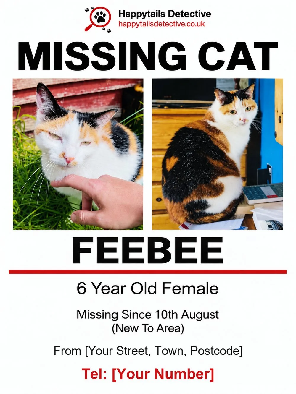 A4 missing pet poster - print sample Example A4 missing cat poster printed and laminated by Happy Tails Detective